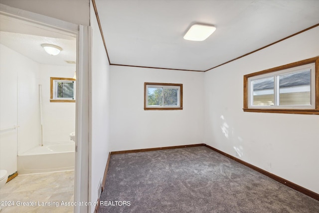 carpeted empty room with crown molding