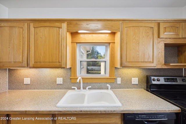 kitchen with backsplash, sink, electric stove, and dishwasher