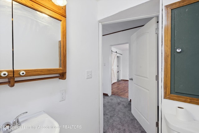 bathroom with hardwood / wood-style floors and sink