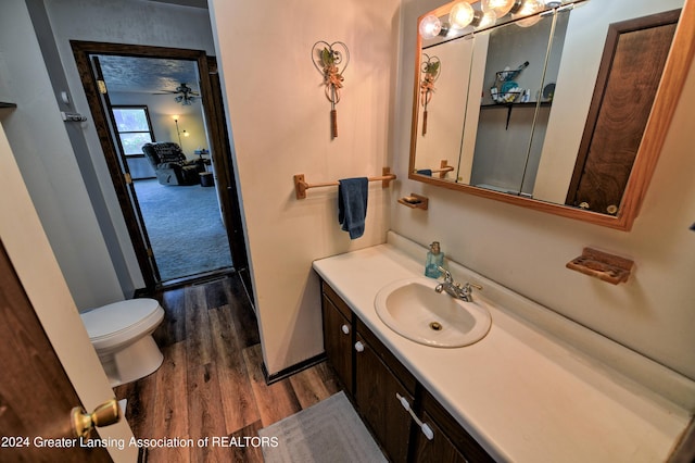 bathroom featuring toilet, vanity, and wood finished floors