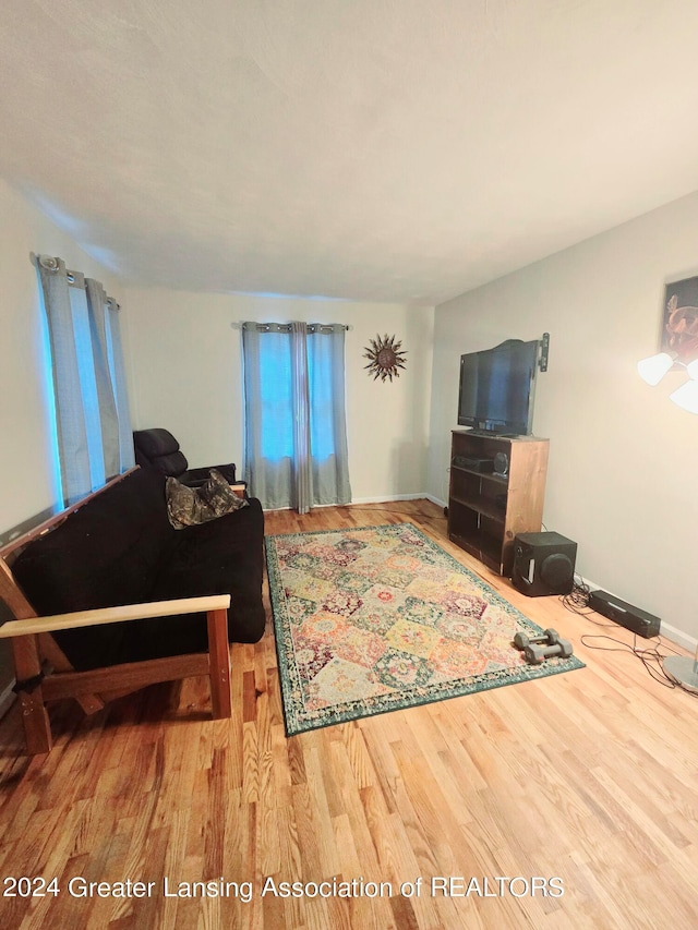 living room with hardwood / wood-style floors