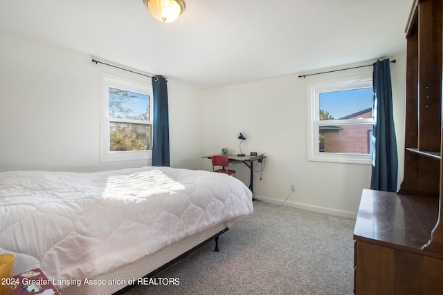 carpeted bedroom featuring multiple windows