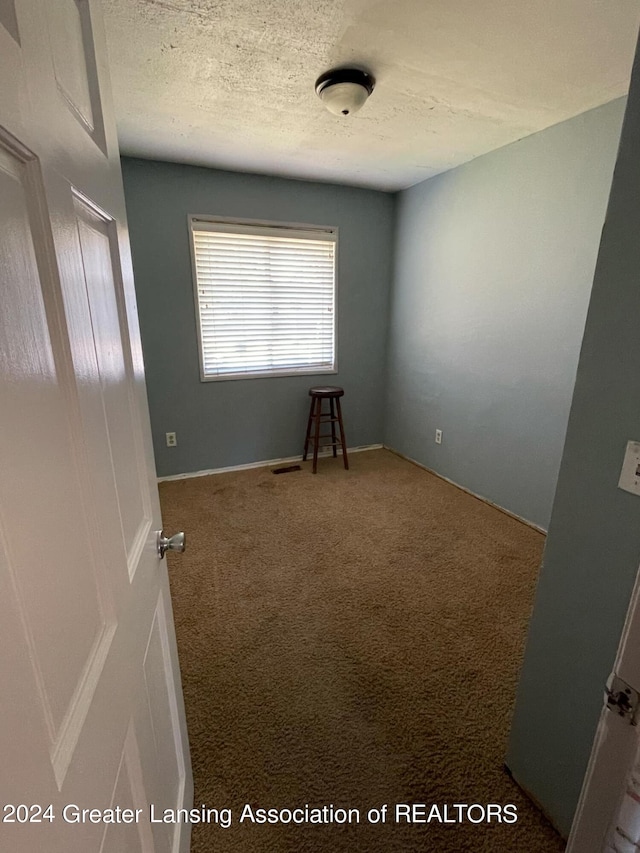 carpeted spare room featuring a textured ceiling