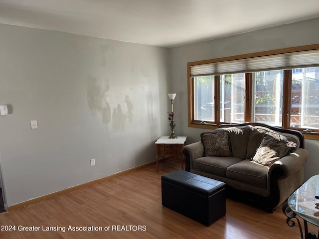 living room with light wood-type flooring