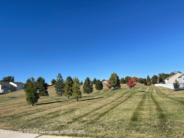 view of yard with a rural view