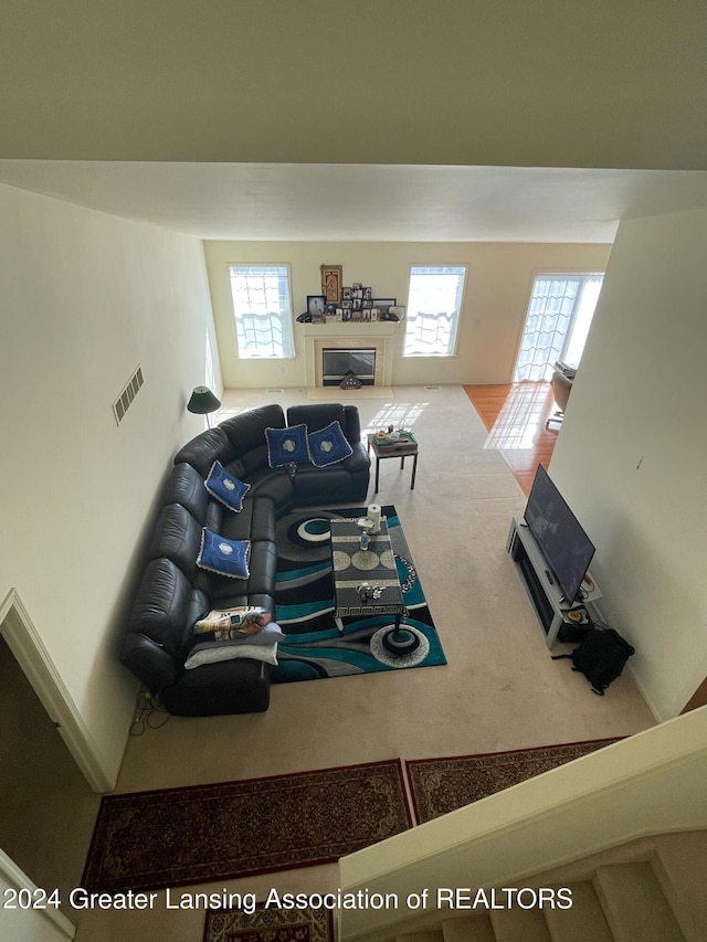 carpeted living room featuring a wealth of natural light