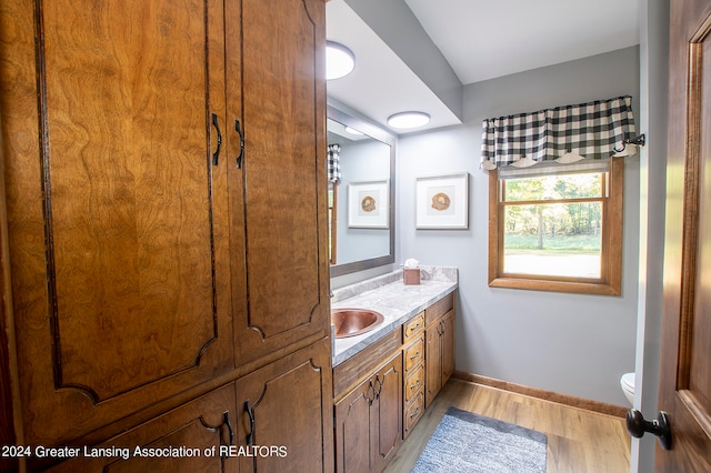 bathroom featuring vanity, toilet, and wood-type flooring