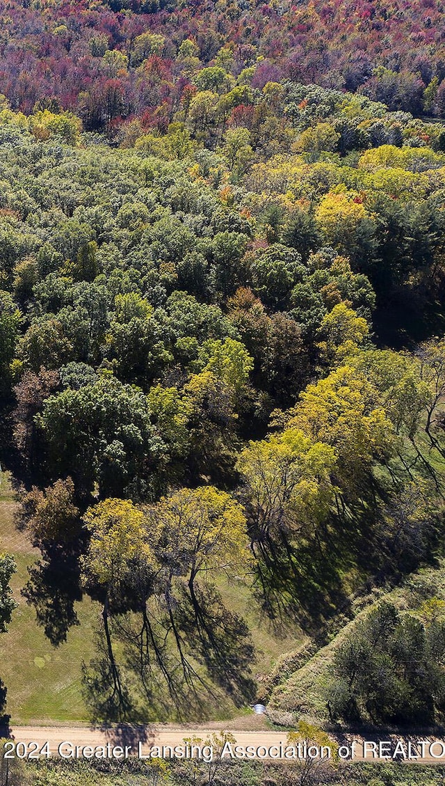 0 E Centerline Rd, Saint Johns, MI 48879