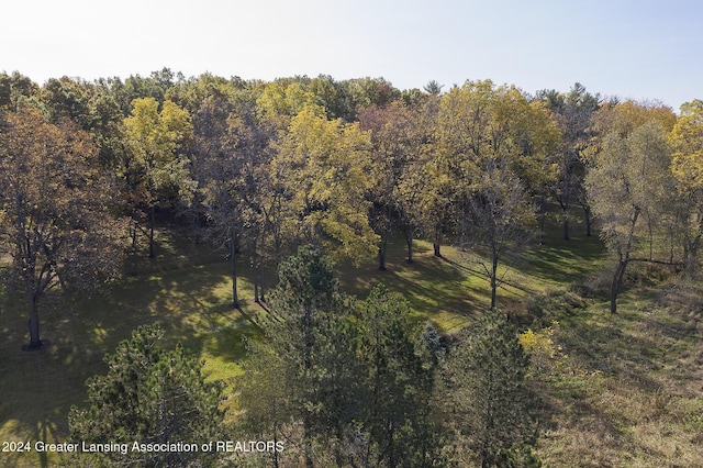 0 E Centerline Rd, Saint Johns, MI 48879