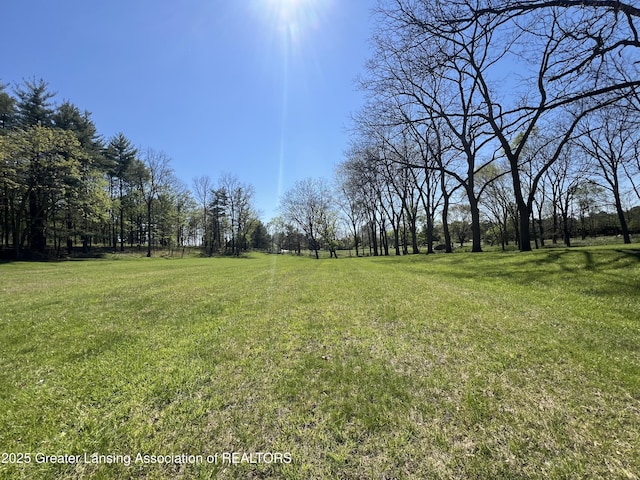 0 E Centerline Rd, Saint Johns, MI 48879
