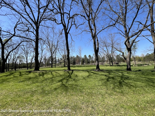 0 E Centerline Rd, Saint Johns, MI 48879