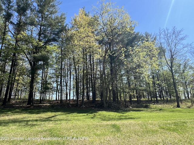 0 E Centerline Rd, Saint Johns, MI 48879
