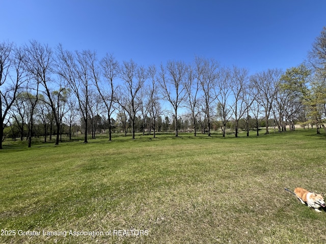 0 E Centerline Rd, Saint Johns, MI 48879