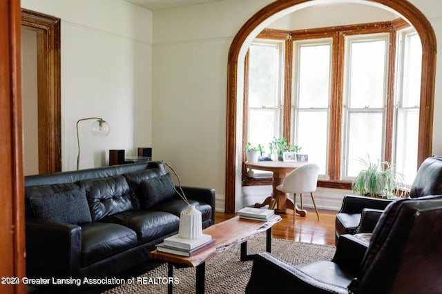 living room featuring wood-type flooring