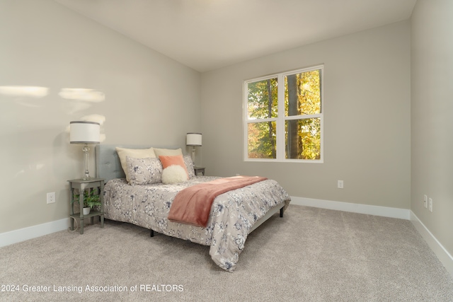 1534 Lytell Johnes Path # 76, Williamston, MI 48895 - carpeted bedroom featuring baseboards