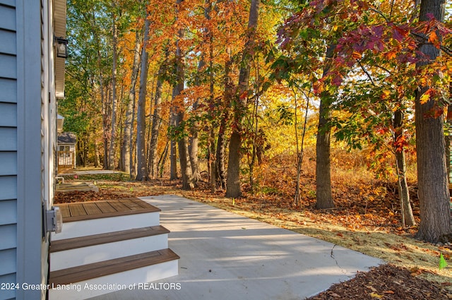 1534 Lytell Johnes Path # 76, Williamston, MI 48895 - view of yard featuring a patio and a forest view