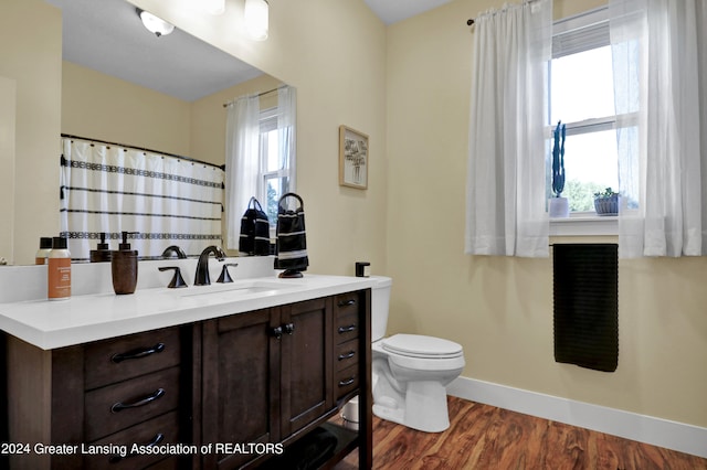 bathroom featuring hardwood / wood-style flooring, vanity, and toilet