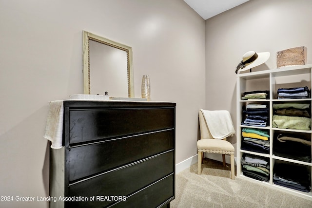 walk in closet featuring light carpet