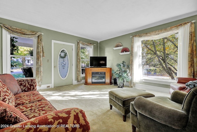 living room featuring light colored carpet