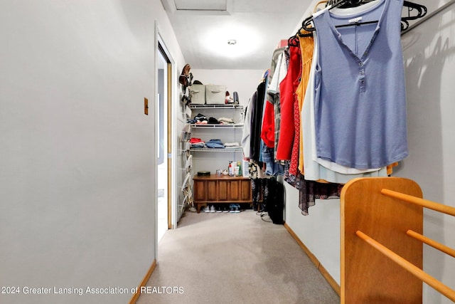 spacious closet featuring carpet floors