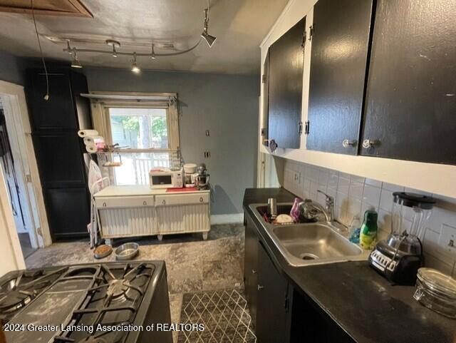 kitchen with decorative backsplash, sink, and rail lighting