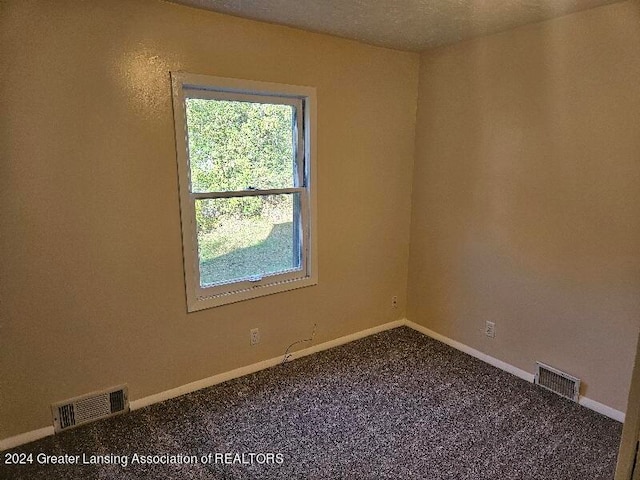 spare room featuring carpet floors and a textured ceiling