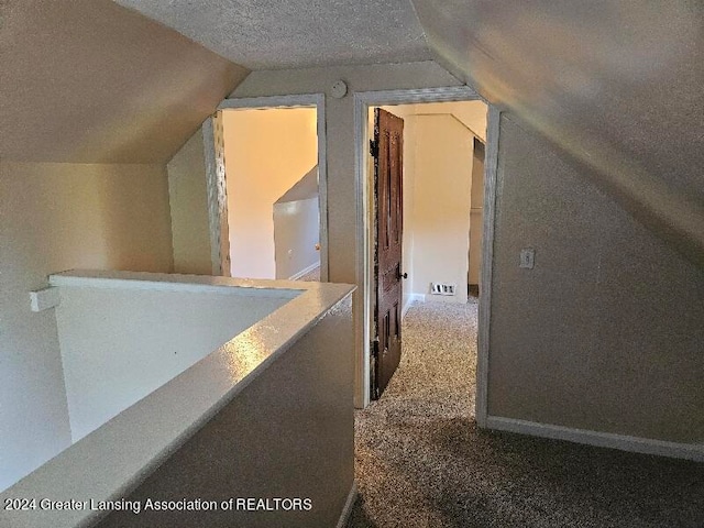 additional living space featuring vaulted ceiling, carpet, and a textured ceiling