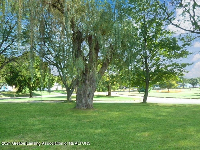 view of home's community with a yard