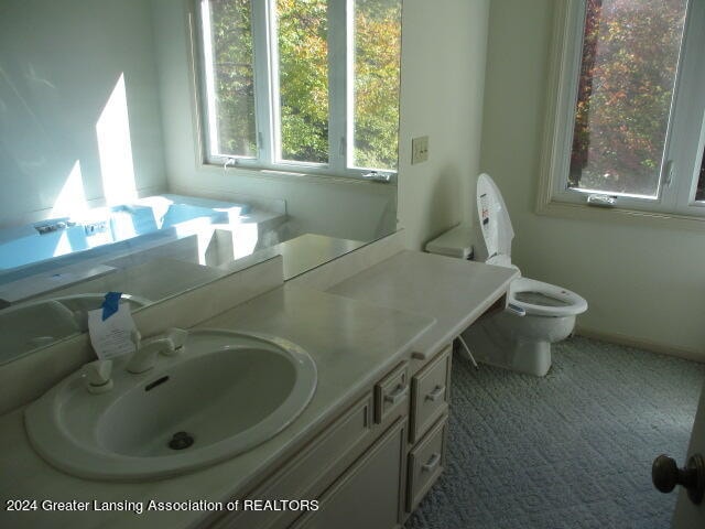 bathroom with vanity and toilet