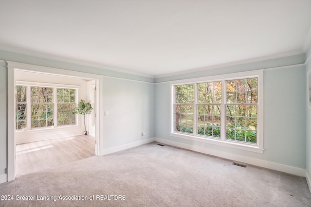 spare room featuring light carpet and crown molding