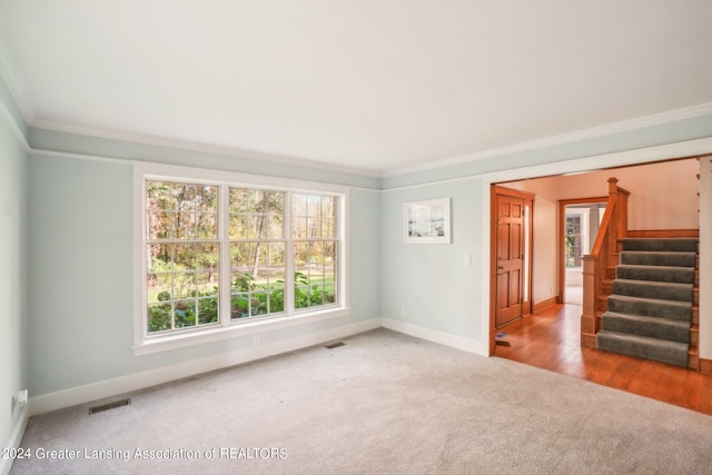 empty room featuring wood-type flooring and crown molding