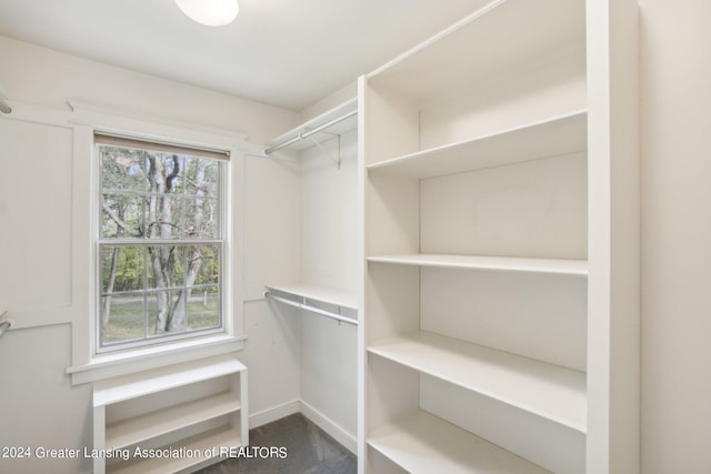 view of spacious closet