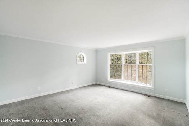 unfurnished room featuring carpet, plenty of natural light, and crown molding