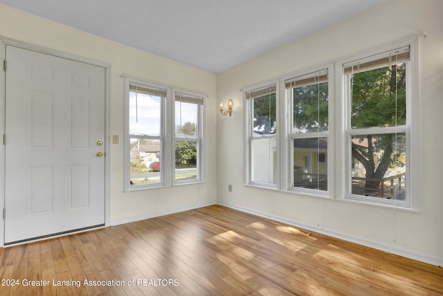 foyer entrance with light hardwood / wood-style flooring and a wealth of natural light