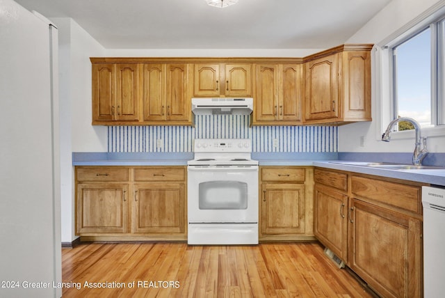 kitchen featuring decorative backsplash, sink, light wood-type flooring, and white appliances