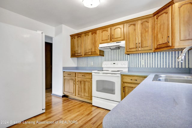 kitchen featuring decorative backsplash, sink, light wood-type flooring, and white appliances