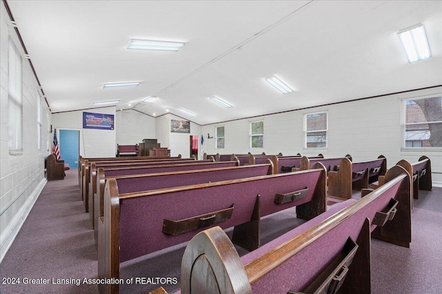 miscellaneous room featuring lofted ceiling, carpet floors, and brick wall