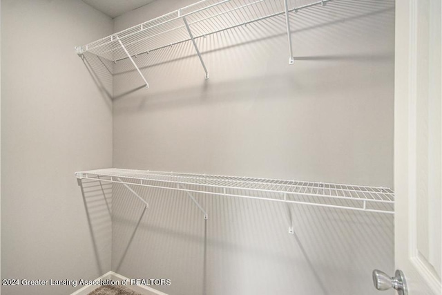 view of spacious closet