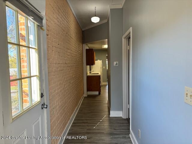 hall featuring dark wood-type flooring, brick wall, ornamental molding, and plenty of natural light