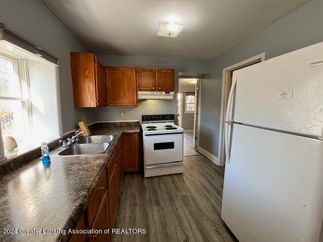 kitchen featuring white appliances, sink, plenty of natural light, and dark hardwood / wood-style floors