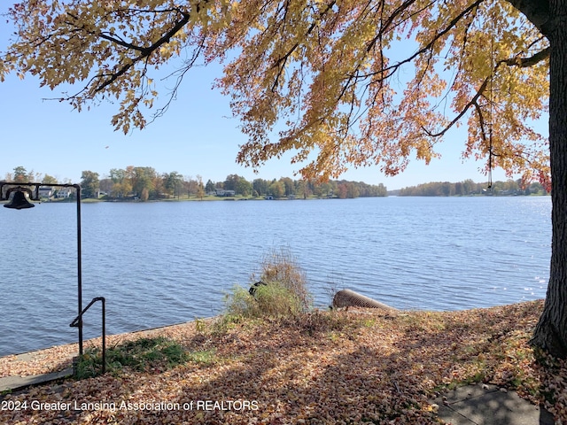 property view of water