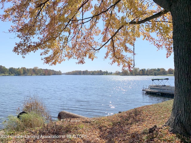 property view of water featuring a dock