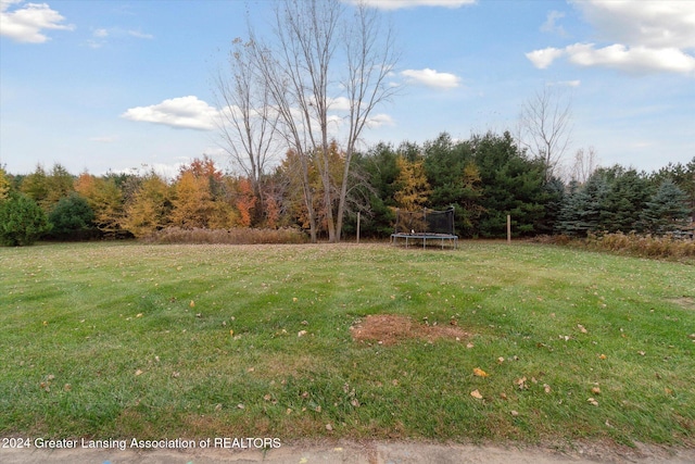 view of yard featuring a trampoline