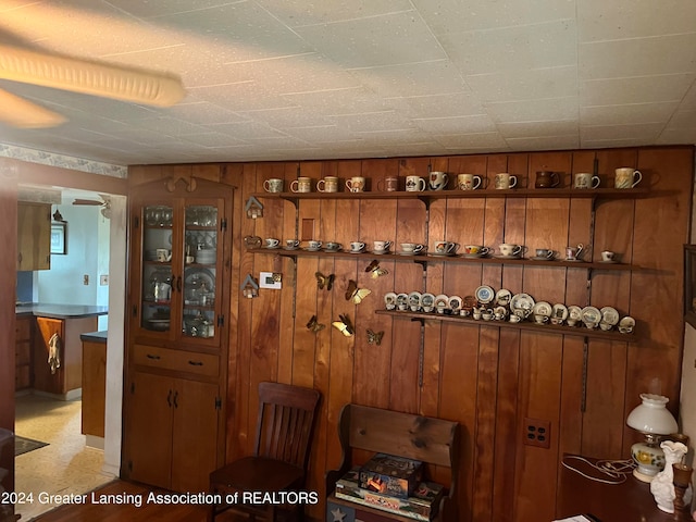 wine cellar featuring wood walls