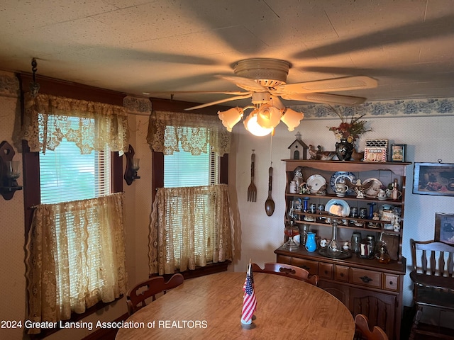 dining space featuring a wealth of natural light and ceiling fan