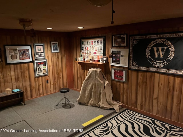 recreation room with wood walls