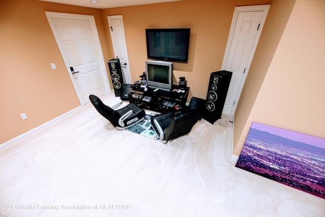 bedroom featuring carpet