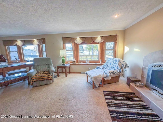 interior space featuring ornamental molding, carpet, and a textured ceiling