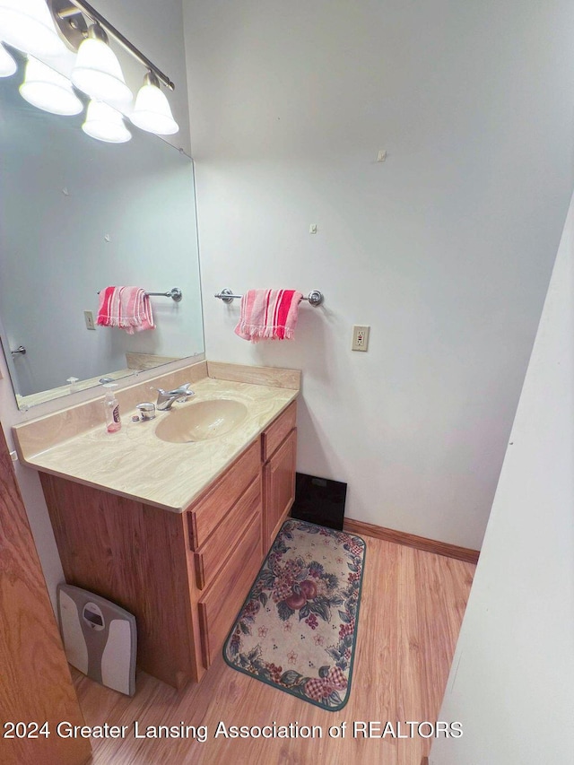 bathroom with wood-type flooring and vanity