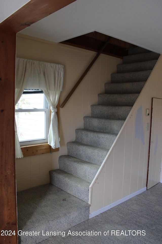 staircase with carpet floors